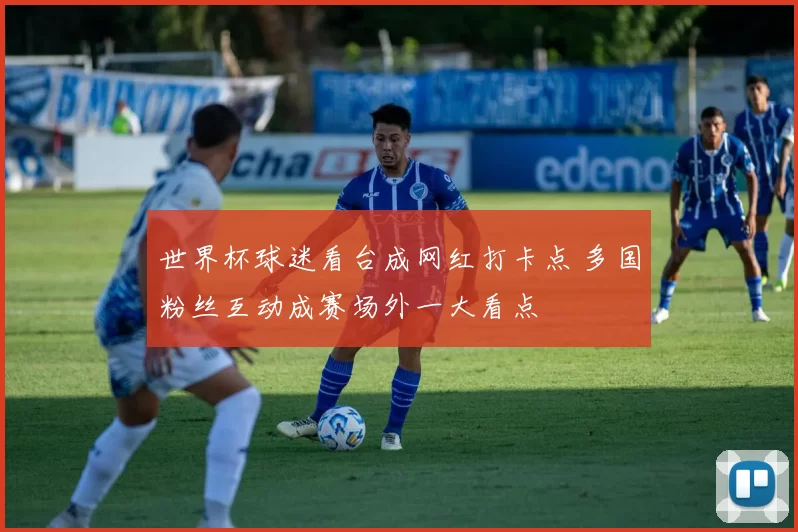 世界杯球迷看台成网红打卡点 多国粉丝互动成赛场外一大看点
